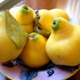 Бабье лето1_0x160 Наш сад